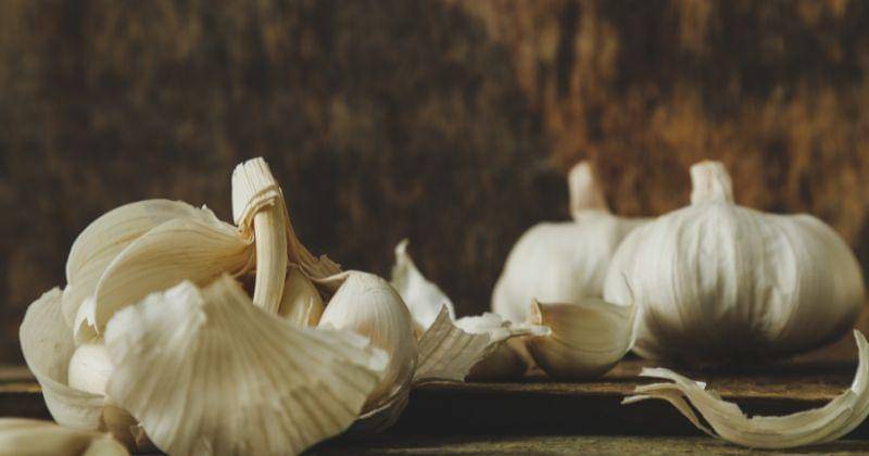 Freepik/Racool_studio